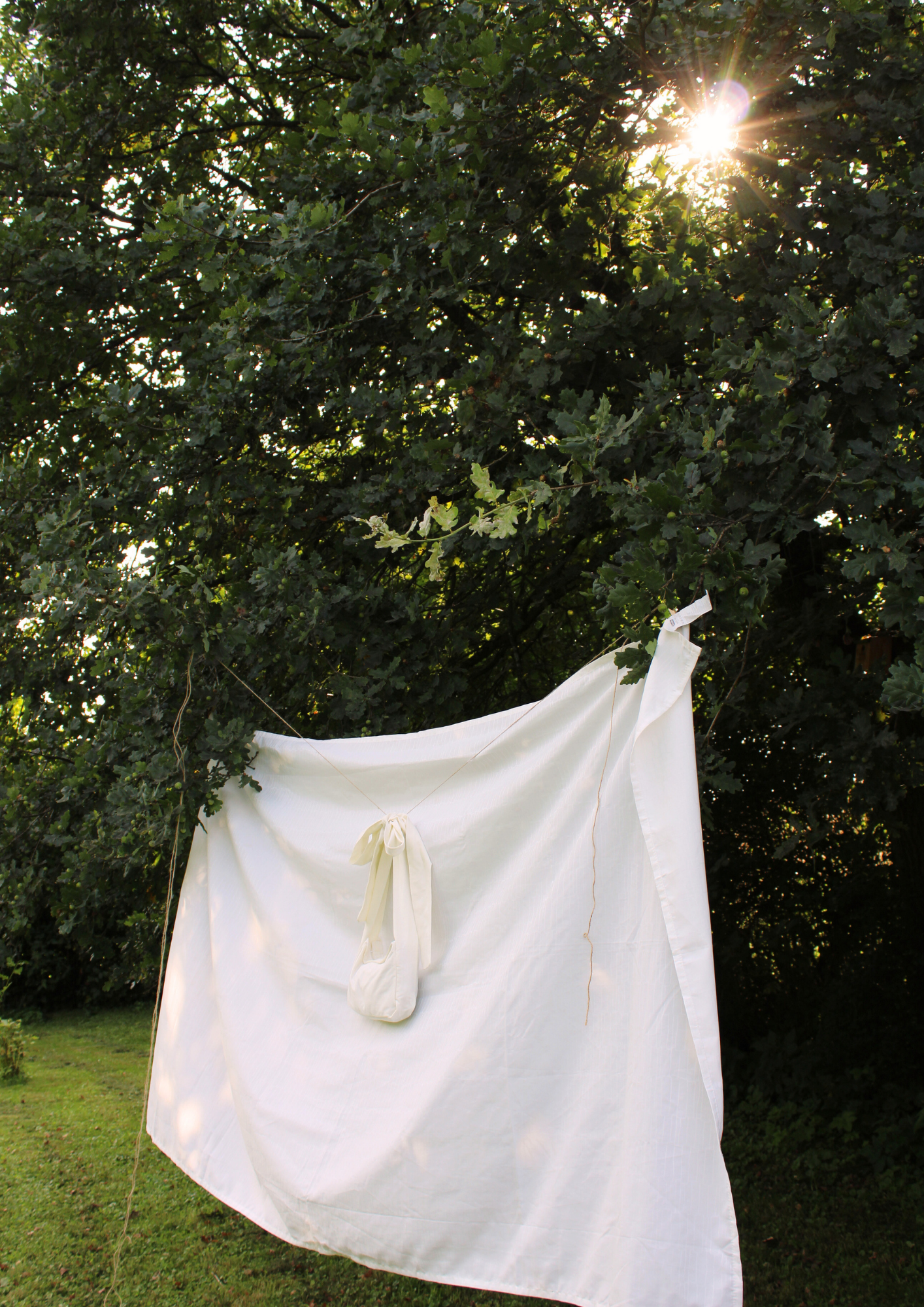 Baumwolle. Bow. Creme.