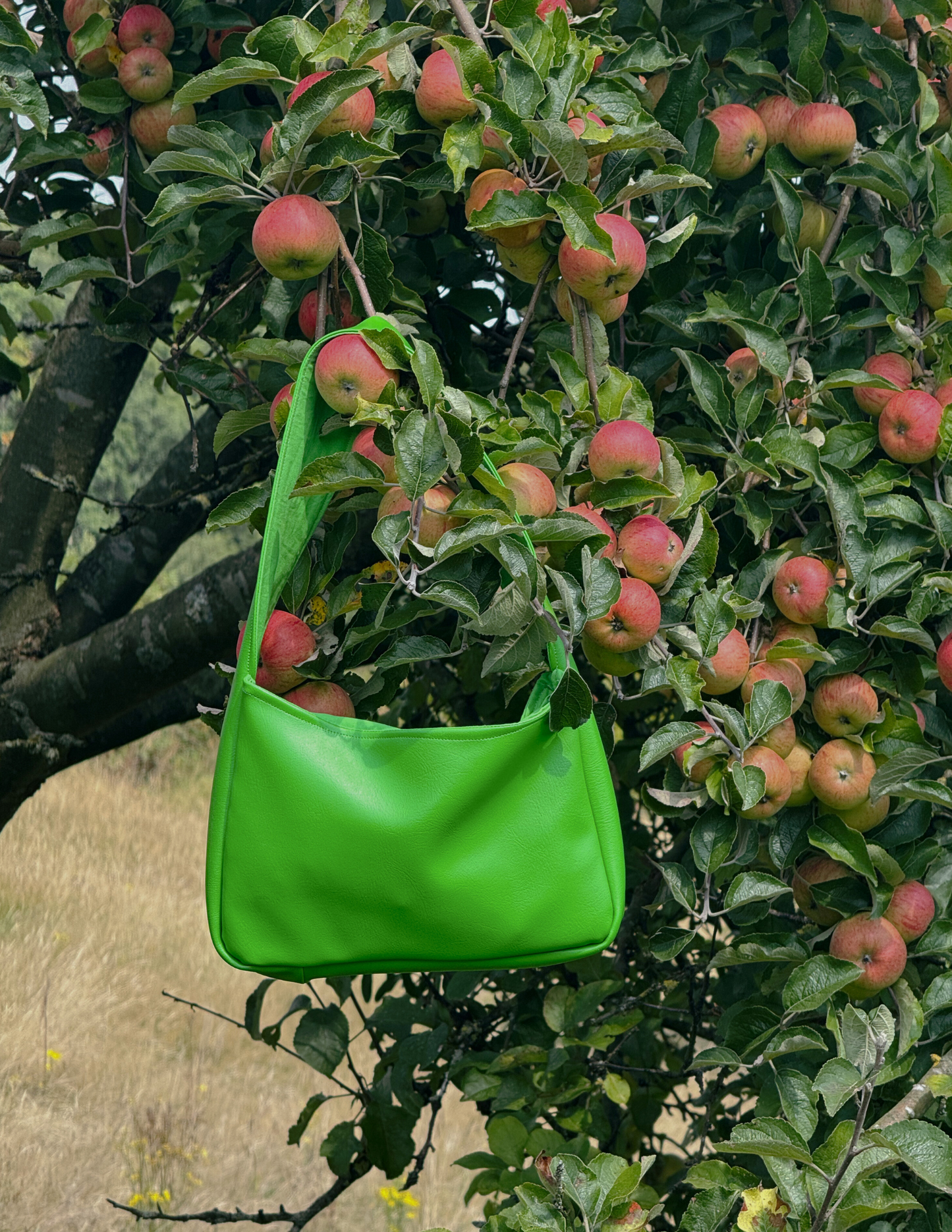 Kunstleder. Medium. Grün.