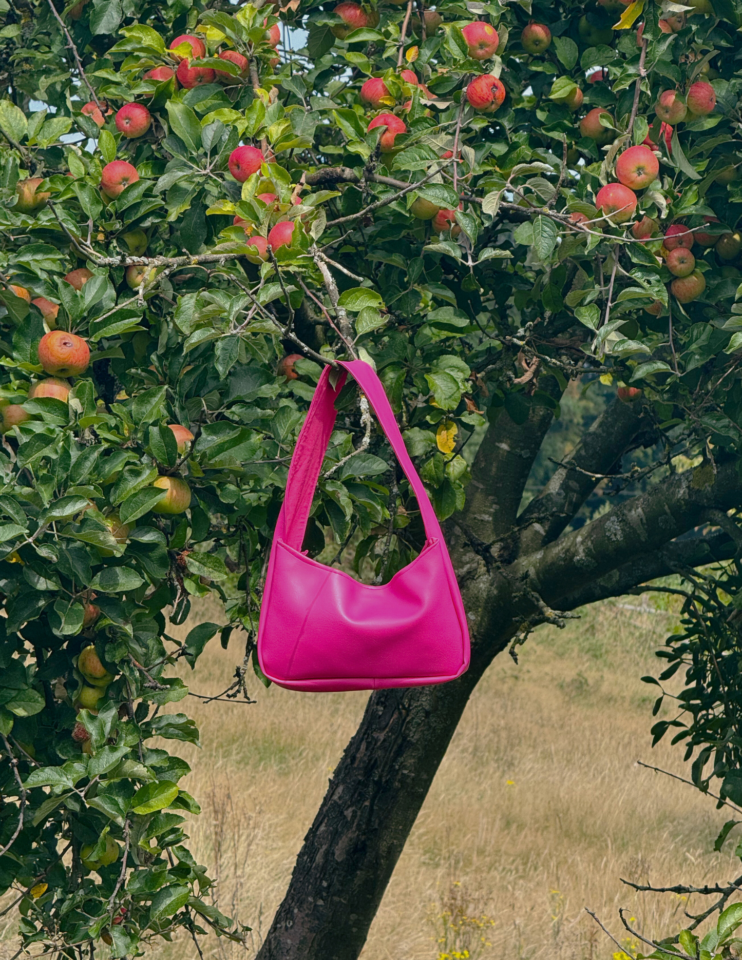 Kunstleder. Medium. Pink.